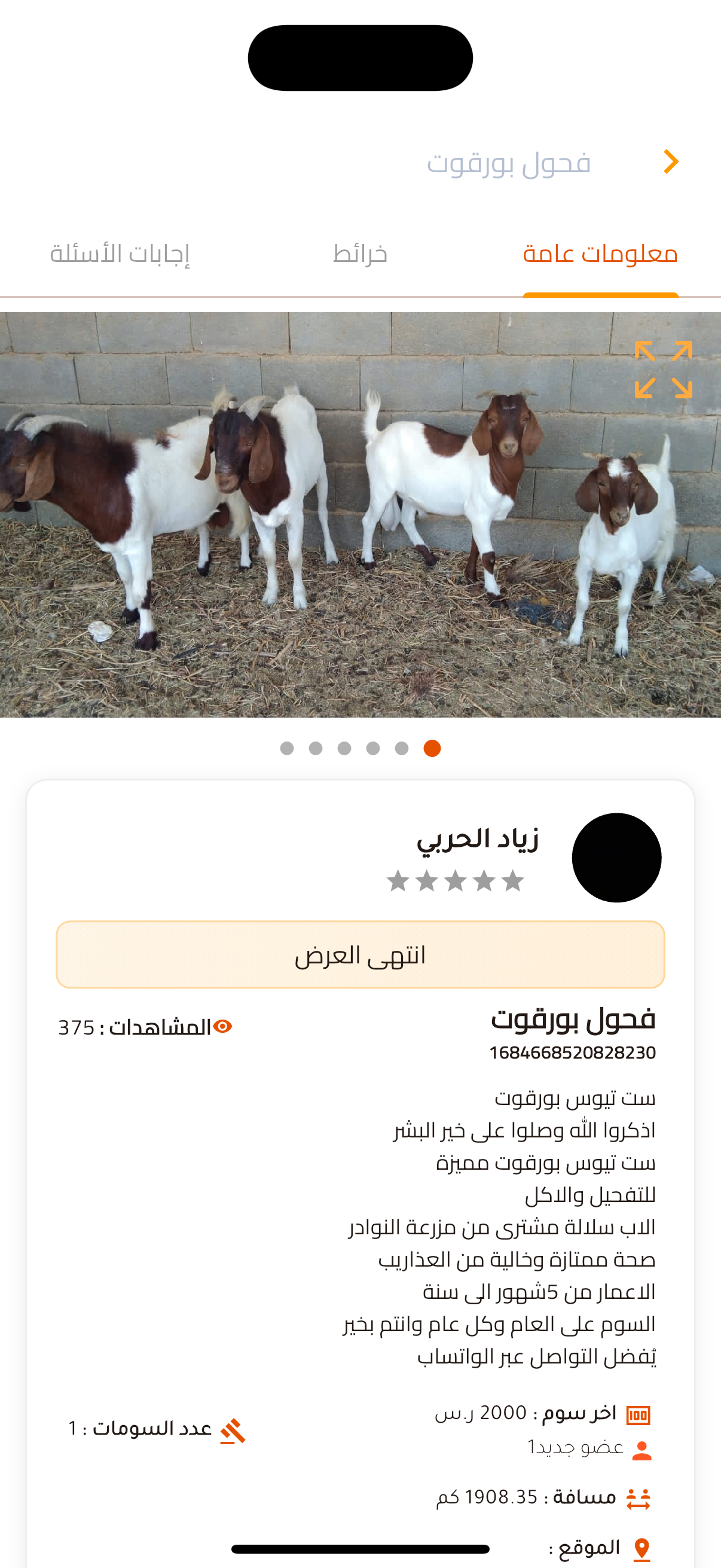 شاشة تفاصيل الإعلان - تطبيق مربي